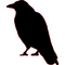 A silhouette of a crow